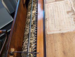 uffz.-ausflug 2025031